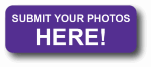 Contest Button